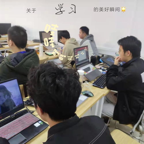 Java136期學(xué)習(xí)日記 在黑馬程序員技術(shù)交流社區(qū)的成長(zhǎng)與思考